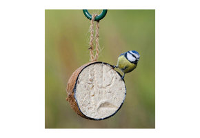 gevulde halve kokosnoot 265 gr