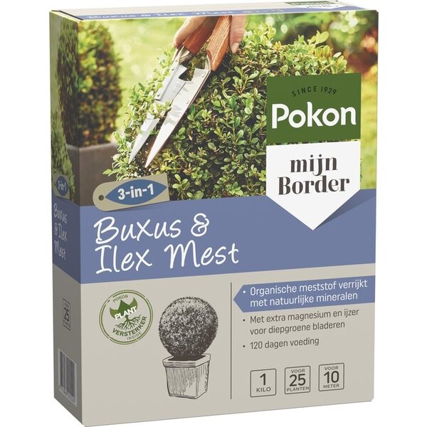 POKON  POKON BUXUS & ILEX MEST 2.5KG