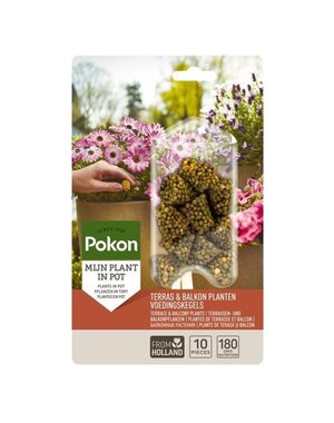 POKON  TERRAS & BALKON PLANTEN VOEDINGSKEGELS 10 STUKS