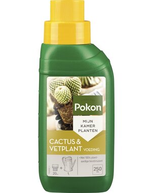 POKON  CACTUS & VETPLANT VOEDING 250 ML