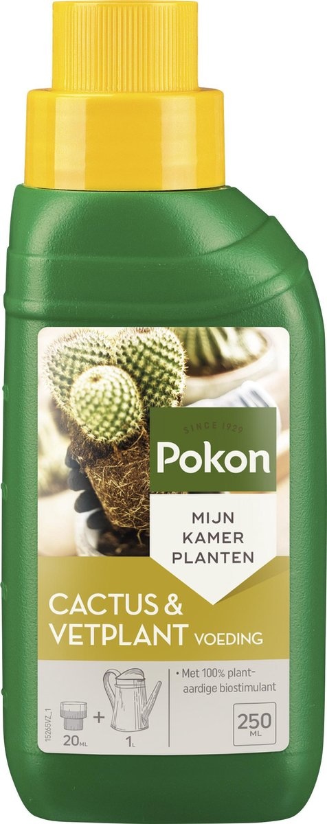 POKON CACTUS & VETPLANT VOEDING 250 ML