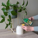 POKON GROENE PLANTEN VOEDING 500 ML