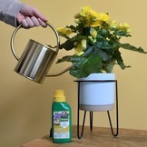 POKON BLOEIENDE PLANTEN VOEDING 500 ML