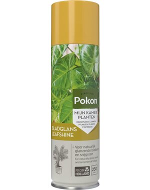 POKON  BLADGLANS 250 ML