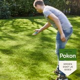 POKON GRASZAAD SCHADUW 500 GRAM