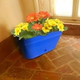 NPB LUNA BLOEMBAK 60 CM BLAUW