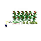 AQUAKING Bewateringssysteem 3m² - 60 pots