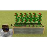 AQUAKING Bewateringssysteem 3m² - 60 pots
