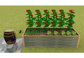 Bewateringssysteem 3m² - 60 pots