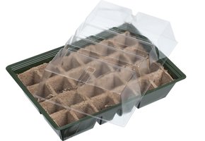 Kweekkas+turfpotplaat