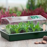 NATURE  Kweekkas H18x37,5x24 cm.