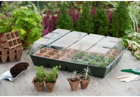 Kweekkas met veenbakken H13x43x32.5 cm