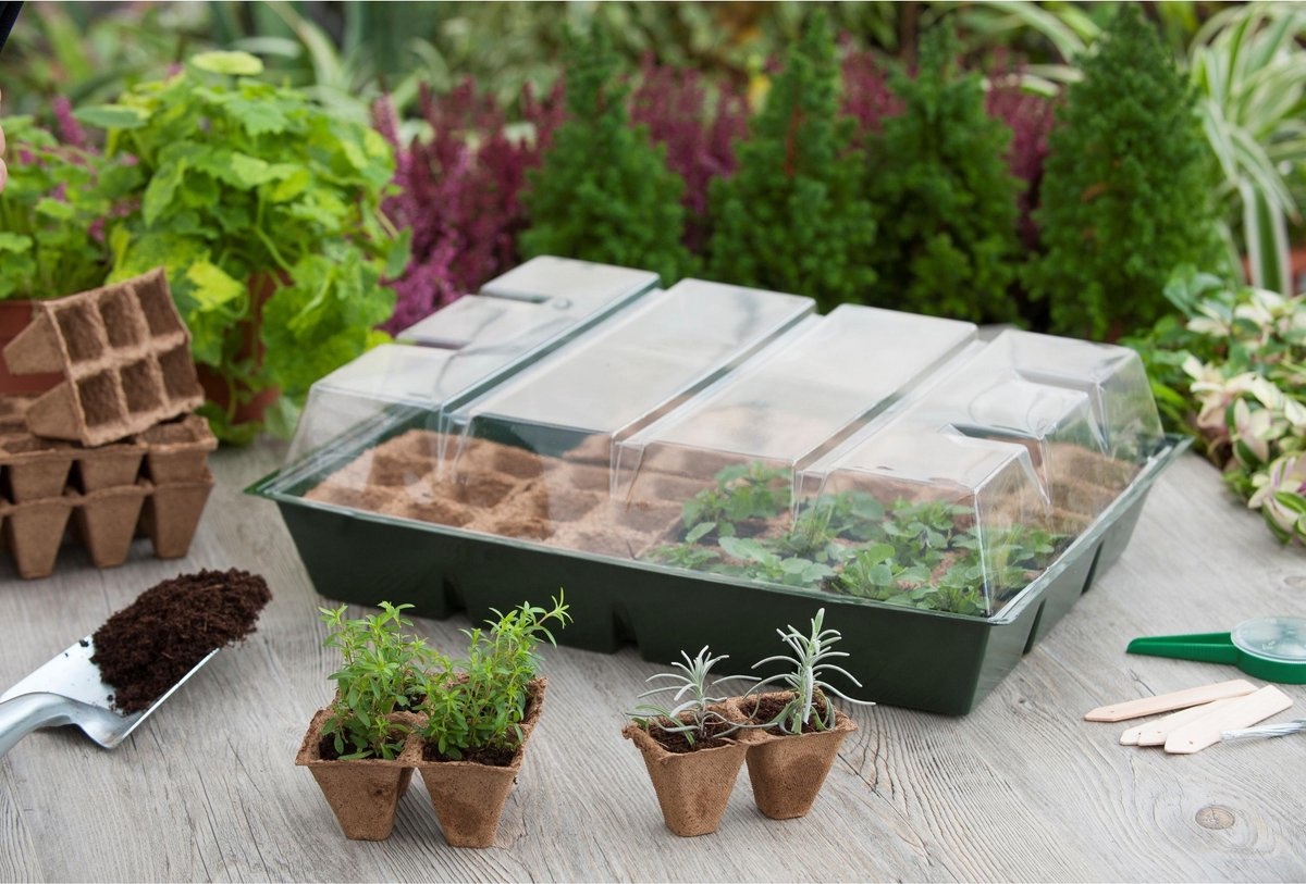 Nature Kweekkas met veenbakken H13x43x32.5 cm