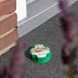 Pokon Tegen Mieren Lokdoos - 2 stuks