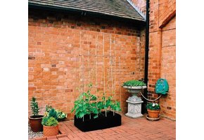 MINI KWEEKBAK MET KLIMFRAME