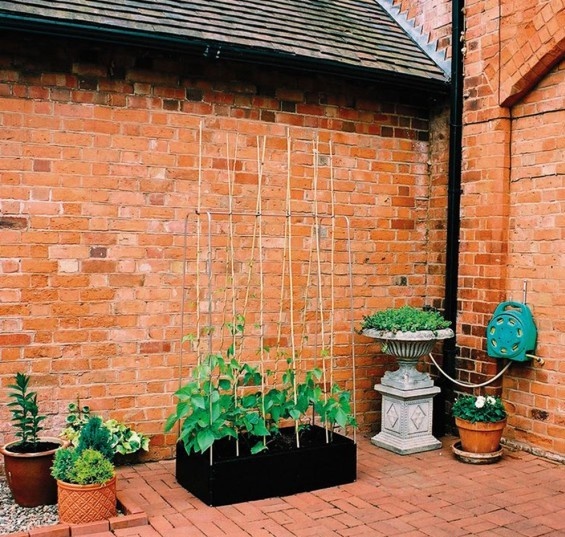 GARLAND MINI KWEEKBAK MET KLIMFRAME