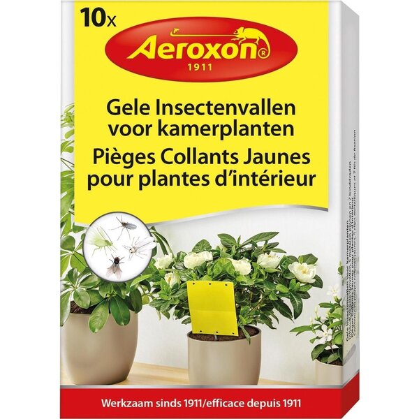 AEROXON AEROXON GELE INSECTENVALLEN VOOR KAMERPLANTEN 10 STUKS