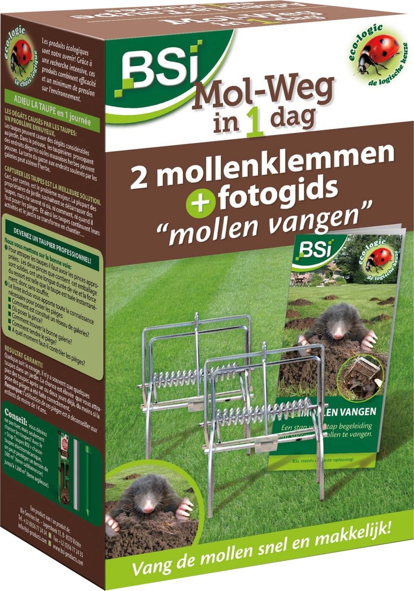 BSI MOL-WEG IN 1 DAG