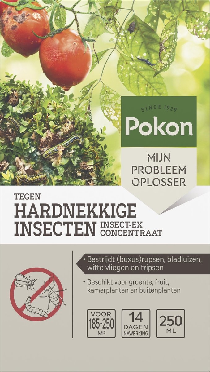 POKON TEGEN HARDNEKKIGE INSECTEN INSECT-EX CONCENTRAAT 250ML
