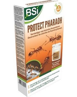 BSI PROTECT PHARAOH INSECTICIDE 3 STUKS