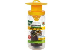 WESPENVAL MET WASP ATTRACT LOKSTOF