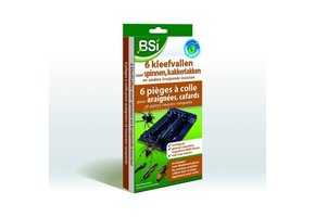 KLEEFVAL VOOR SPINNEN 6 STUKS