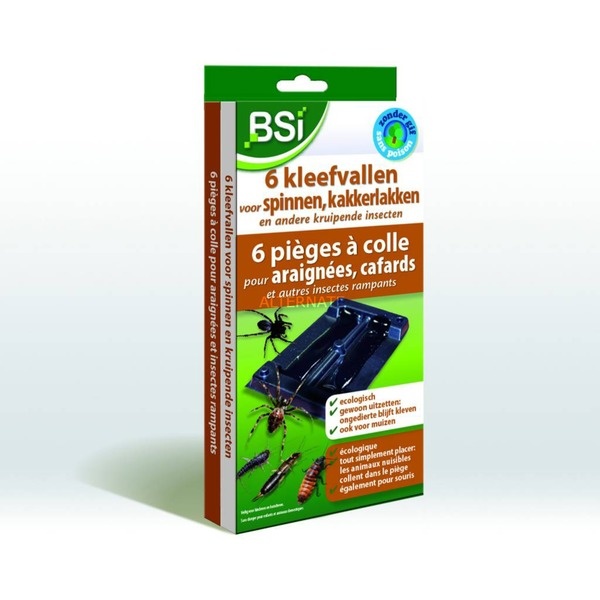 BSI KLEEFVAL VOOR SPINNEN 6 STUKS