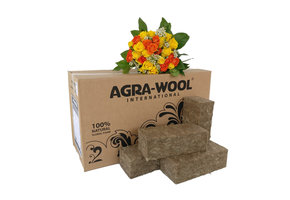 SIDEAU 100% NATURAL FLORAL FOAM STEEKSCHUIM DOOS 20 STUKS 23X10X7.5CM