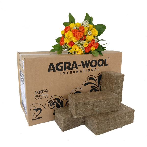 AGRA-WOOL SIDEAU 100% NATURAL FLORAL FOAM STEEKSCHUIM DOOS 20 STUKS 23X10X7.5CM