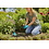 GARDENA GARDENA PLANT- EN BODEMHANDSCHOENEN MAAT S