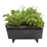 BATO AARDBEIENBAK 11 LITER 40.2 X 32.3 X 22.6 CM