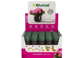 CLASSIC KAMERPLANT (DISPLAY 25 STUKS)