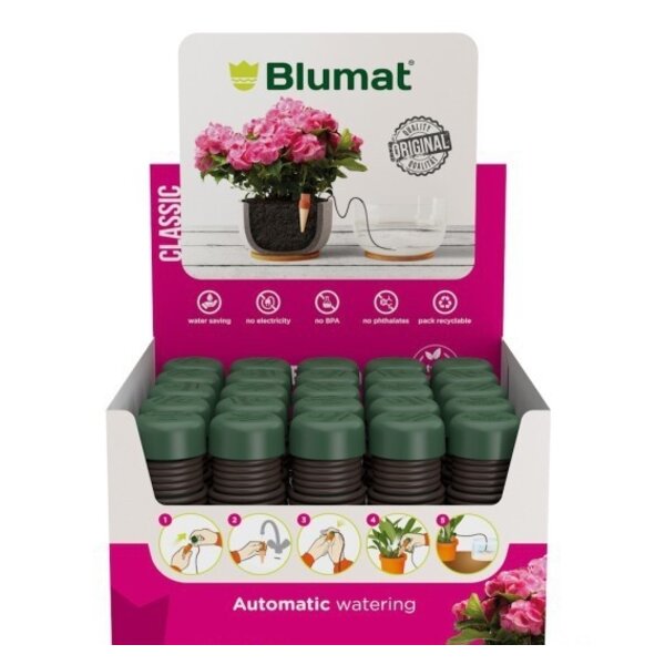 BLUMAT BLUMAT CLASSIC KAMERPLANT (DISPLAY 25 STUKS)