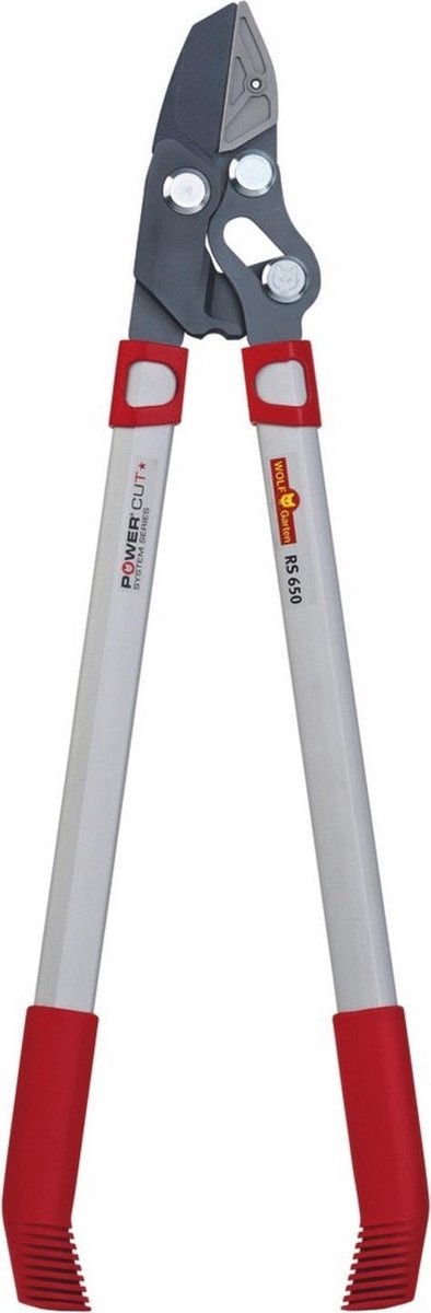 WOLF-GARTEN POWER CUT RS 650 AAMBEELD TAKKENSCHAAR