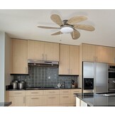 BESTRON DC30T PLAFONDVENTILATOR MET VERLICHTING 75 CM WIT / HOUT 50 WATT