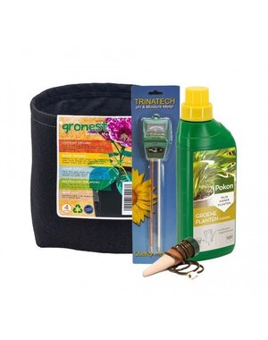 TUINCENTRUMLOPIK KAMERPLANT PLANTLOVER CADEAUSET