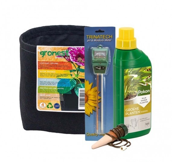 TUINCENTRUMLOPIK  KAMERPLANT PLANTLOVER CADEAUSET