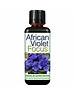 GROWTH TECHNOLOGY AFRICAN VIOLET FOCUS 300 ML