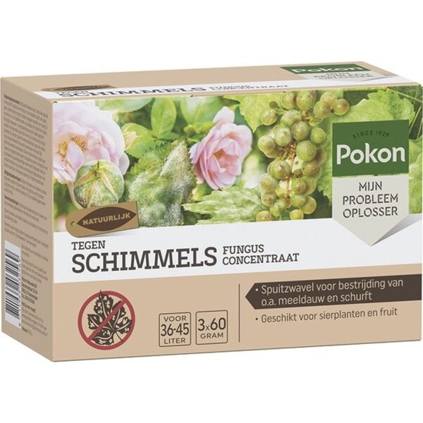 POKON  POKON TEGEN SCHIMMELS CONCENTRAAT 180 GRAM FUNGUS CONCENTRAAT