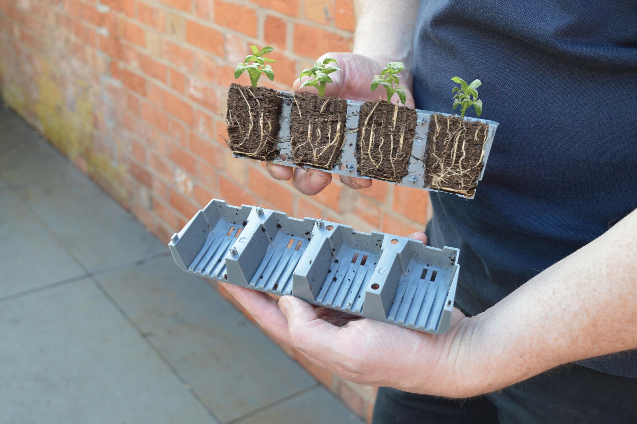 GARLAND 24 FAST ROOT PLANT CELLS