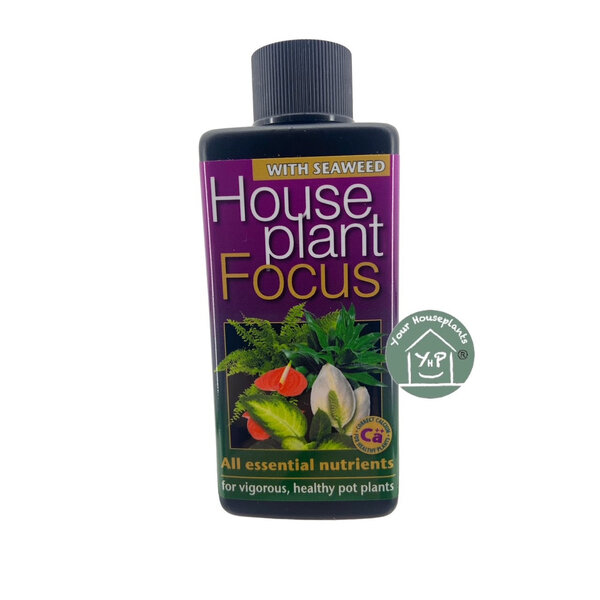 GROWTH TECHNOLOGY GROWTH TECHNOLOGY HOUSEPLANT FOCUS 300 ML