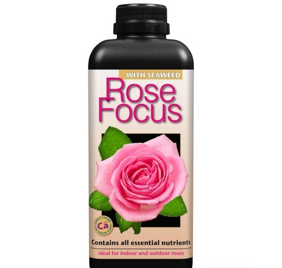 GROWTH TECHNOLOGY ROSE FOCUS 1 LITER