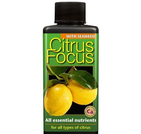 GROWTH TECHNOLOGY CITRUS FOCUS 300 ML