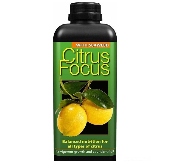 GROWTH TECHNOLOGY CITRUS FOCUS 1 LITER