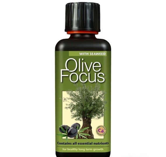 GROWTH TECHNOLOGY OLIVE FOCUS 300 ML
