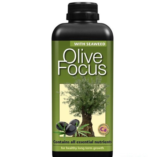 GROWTH TECHNOLOGY OLIVE FOCUS 1 LITER