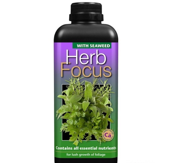 GROWTH TECHNOLOGY HERB FOCUS 1 LITER
