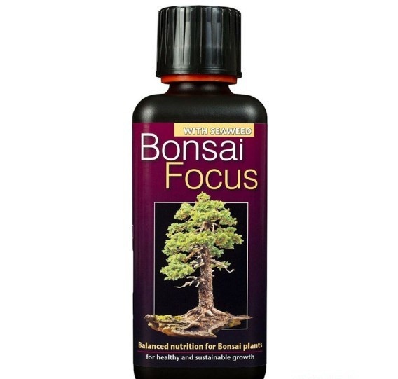 GROWTH TECHNOLOGY BONSAI FOCUS 300 ML