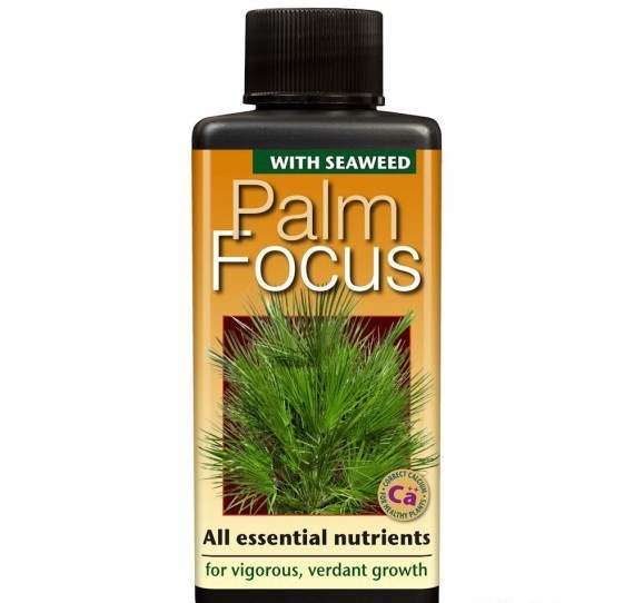 GROWTH TECHNOLOGY PALM FOCUS 300 ML