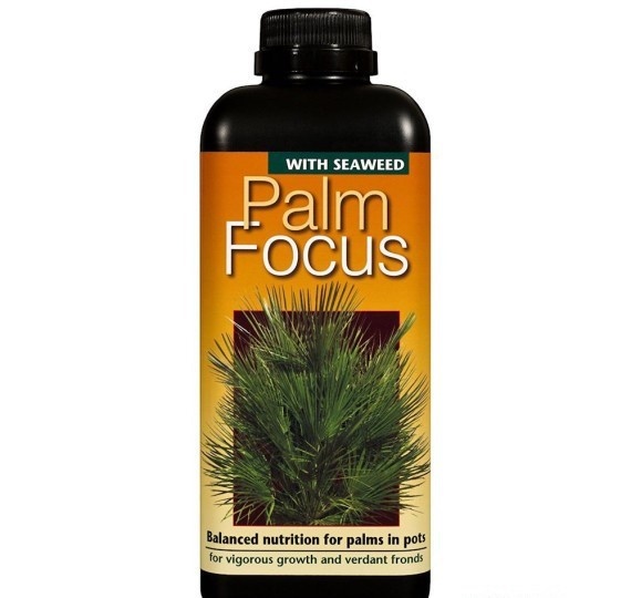 GROWTH TECHNOLOGY PALM FOCUS 1 LITER